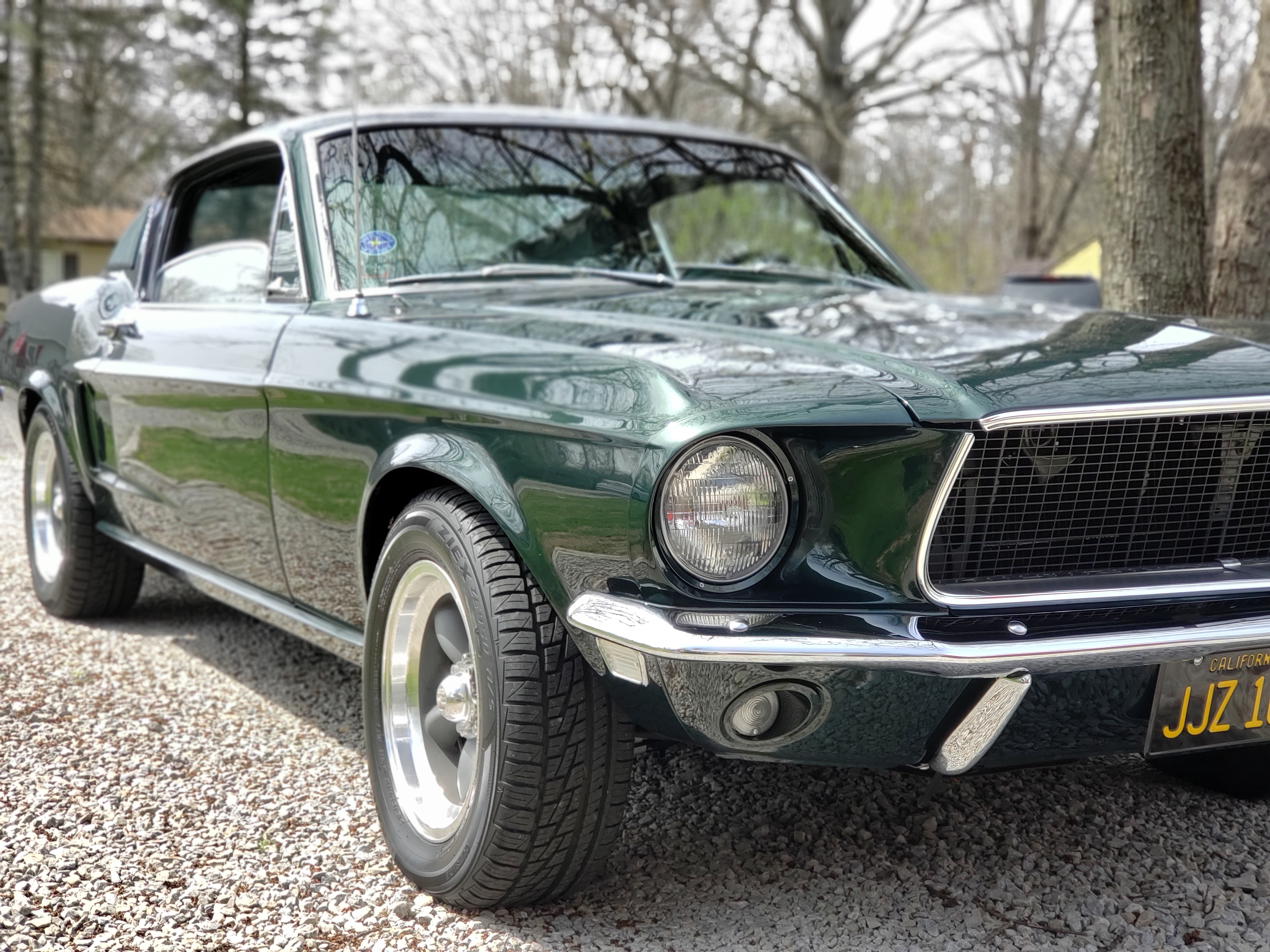 Ford Special Vehicle Registry