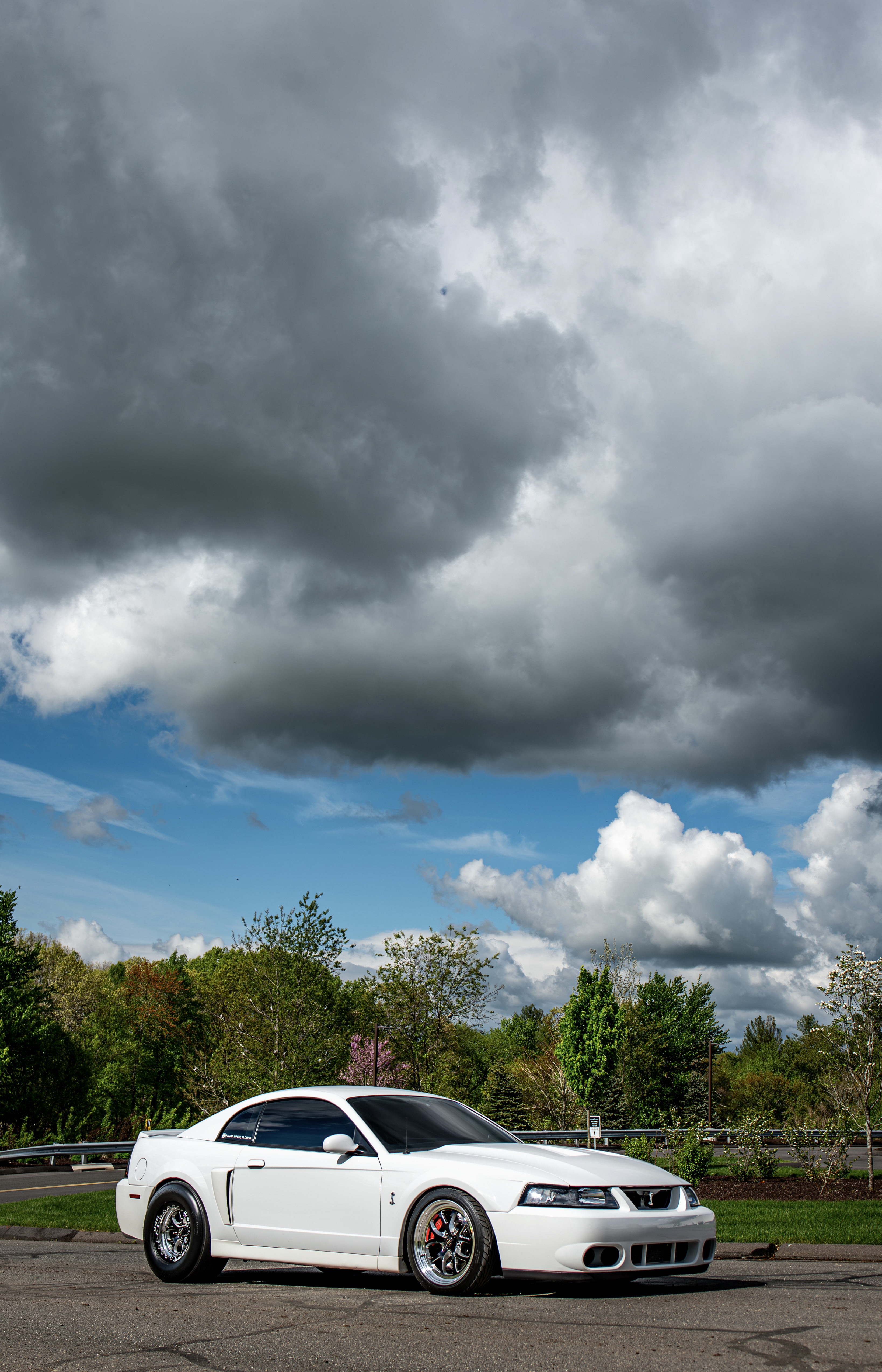 Ford Special Vehicle Registry