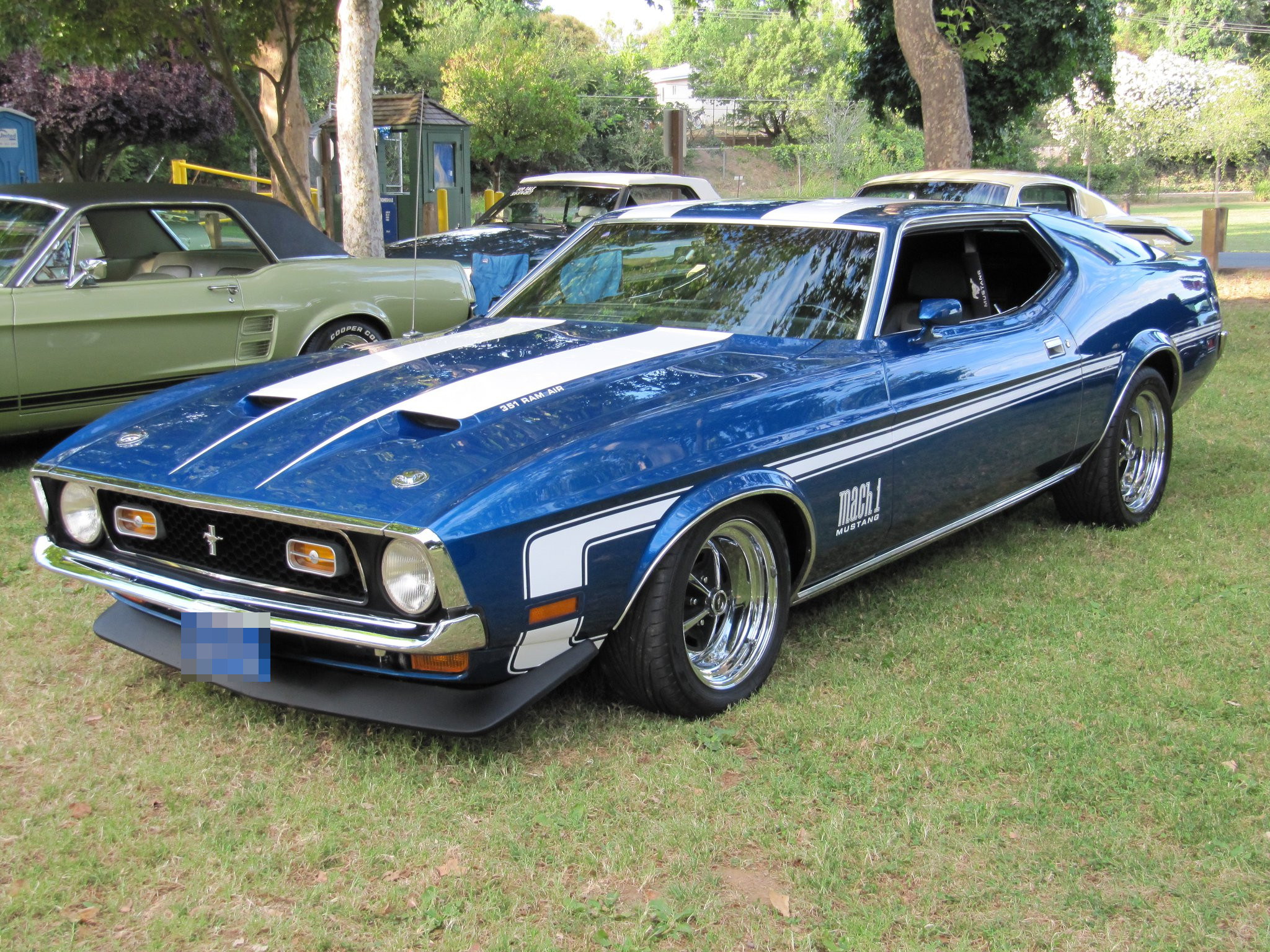 Ford Special Vehicle Registry