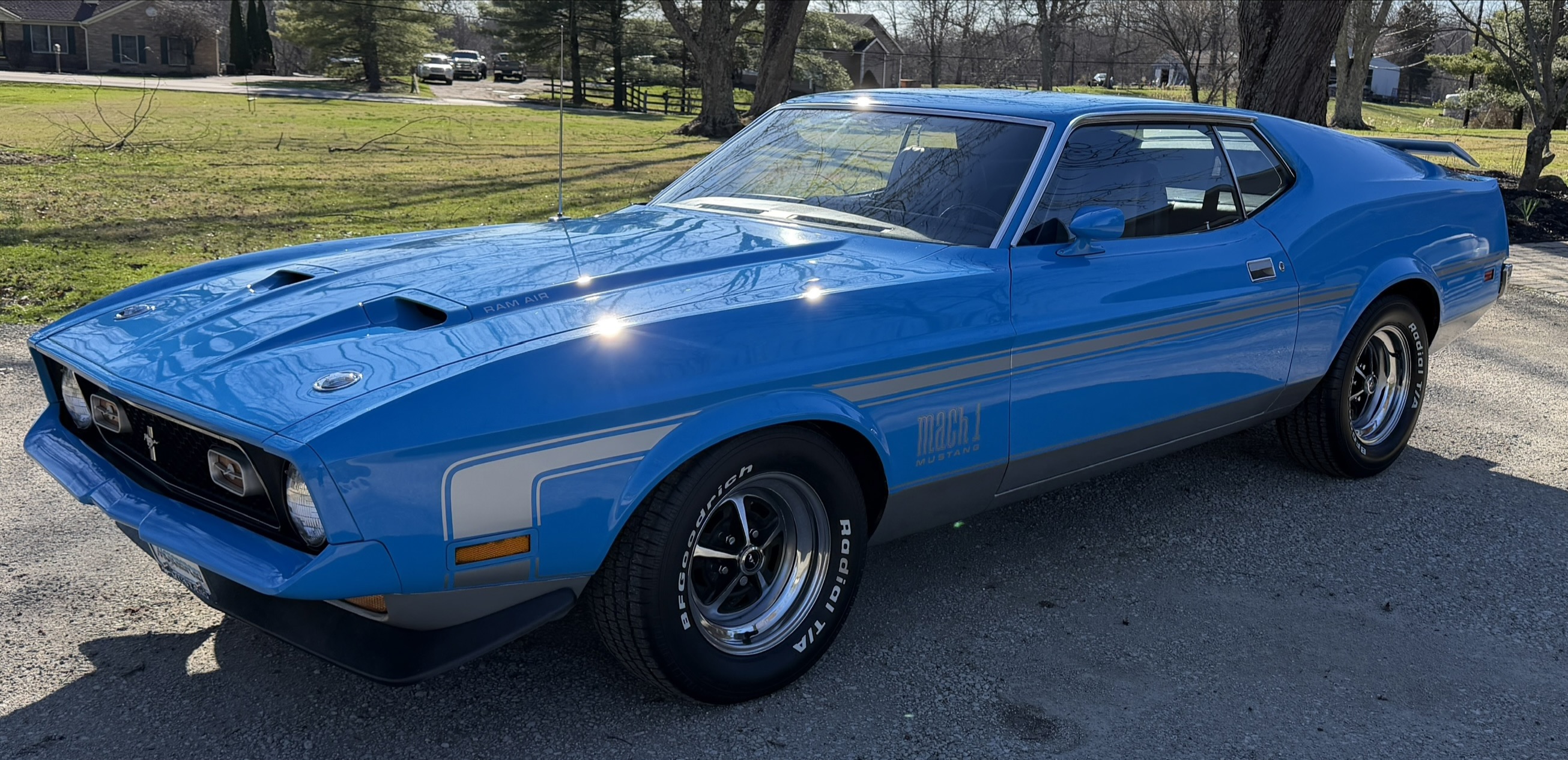 D24/中古シングルスピード Ford 530mm ブルー Ford Special Vehicle Registry