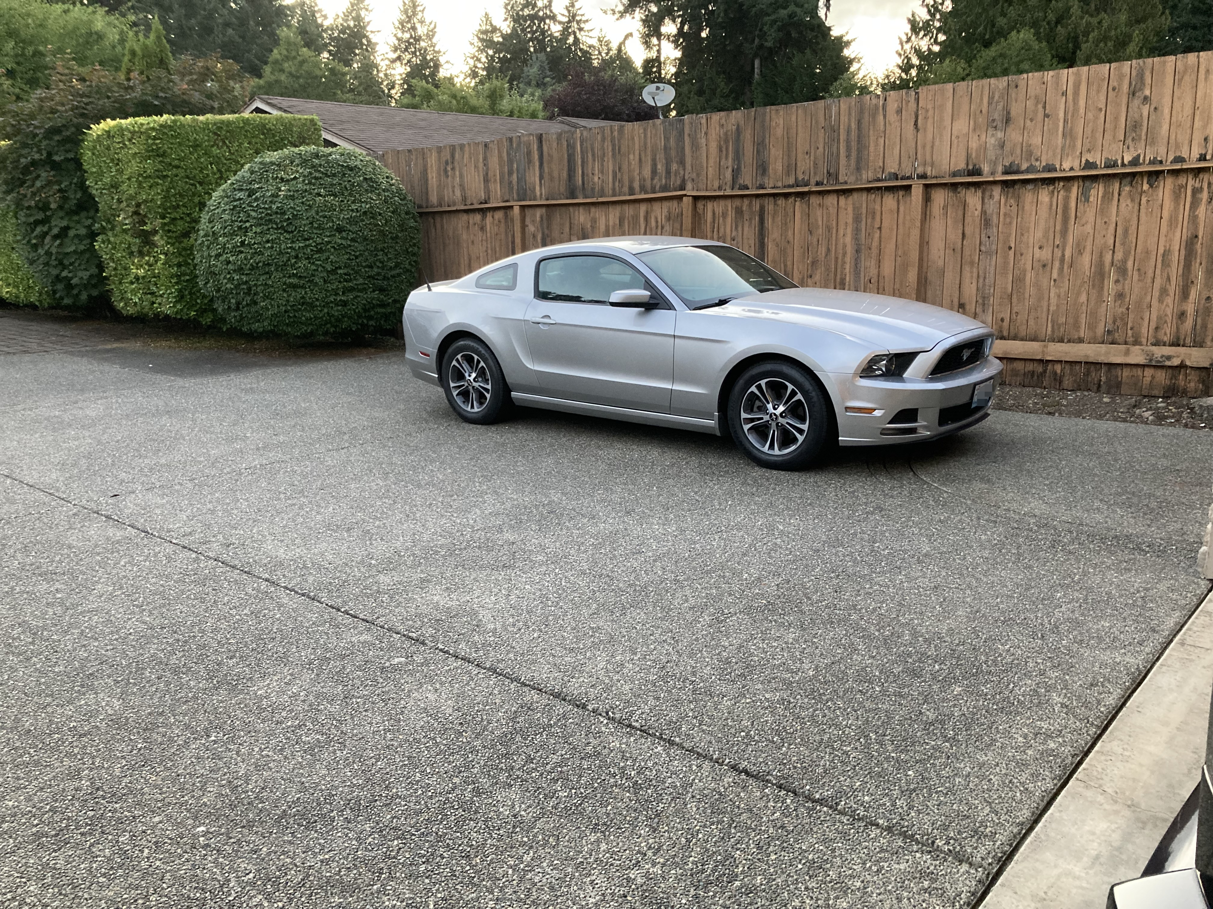 Ford Special Vehicle Registry
